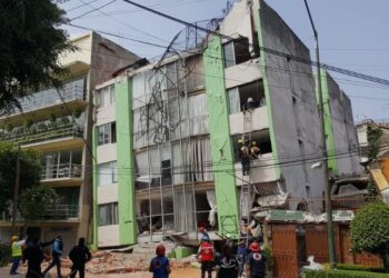 Publicación de doctorando de la UAS aporta evidencia científica sobre el riesgo de las plantas bajas débiles