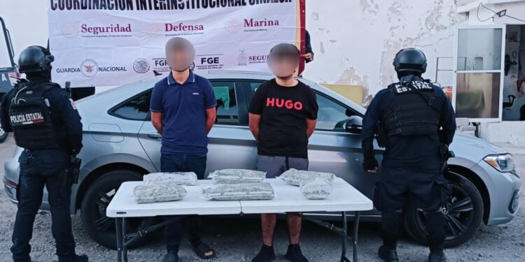 En posesión de presunta marihuana, el Grupo Interinstitucional detiene a 2 jóvenes en Mazatlán