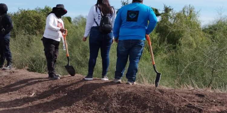 Localizan restos humanos en dren de Navolato durante jornada de búsqueda