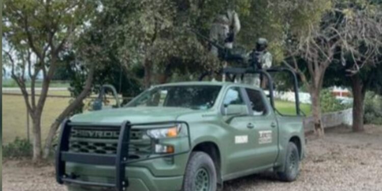 En Navolato, localizan y aseguran cámaras con celda solar instaladas en árboles