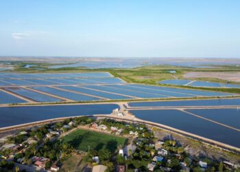 Fortalece Sinaloa la acuacultura con el establecimiento de periodos de siembra y cosecha de camarón para el ciclo 2026