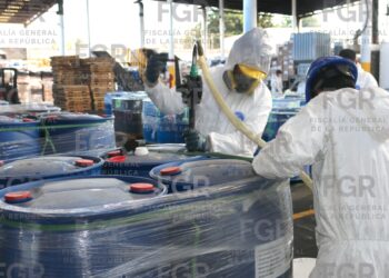 FGR destruye más de 100 toneladas de diversas sustancias