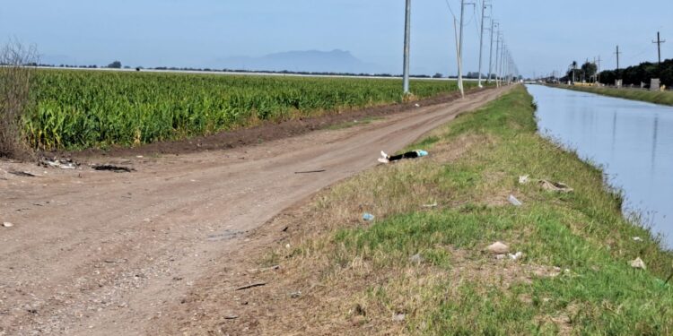 Jovencita es localizada asesinada a balazos en zona rural de Navolato