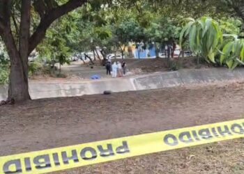 Tres feminicidios, 15 vehículos robados y una privación de la libertad, saldo ayer en Sinaloa