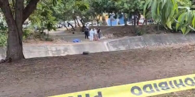 Tres feminicidios, 15 vehículos robados y una privación de la libertad, saldo ayer en Sinaloa