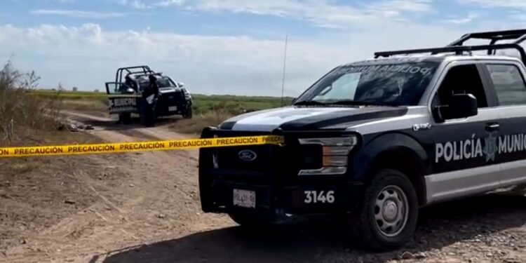 Hallan a un hombre calcinado en Navolato