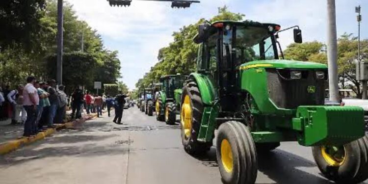 Productores denuncian desaire federal tras suspender reunión clave sobre el maíz de este lunes