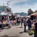 Aumenta 30% la llegada de comerciantes al tianguis de Los Huizaches por desempleo y cierre de negocios