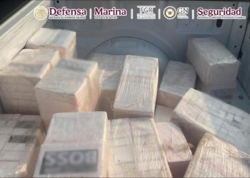 Aseguran más de media tonelada de cocaína en Oaxaca