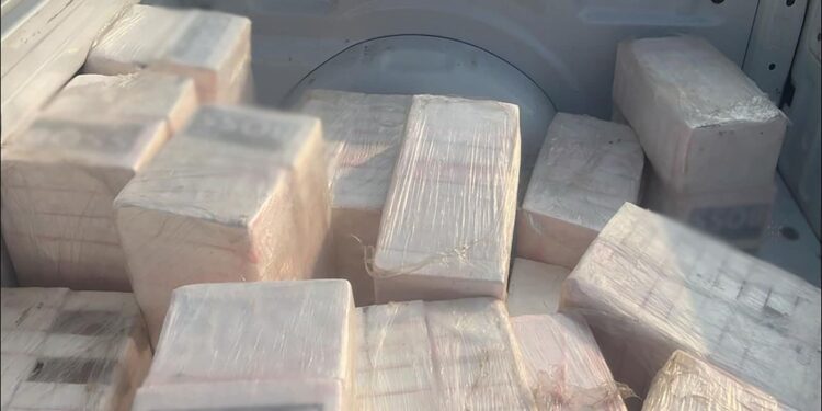 Aseguran más de media tonelada de cocaína en Oaxaca