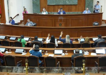 Elizabeth Montoya planea regresar al Congreso el 1 de abril tras concluir su proceso de recuperación