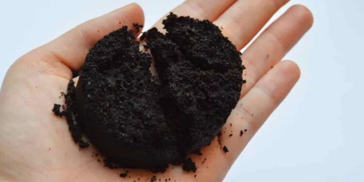 ¡De residuo a superalimento! Investigador de la UAS propone el bagazo de café como alternativa económica y sana al chocolate; alto valor nutricional y sostenibilidad