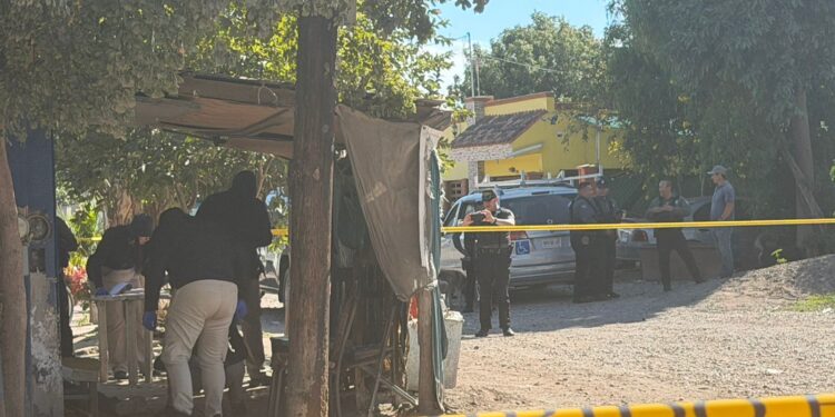 Asesinan a hombre en Balbuena, Navolato