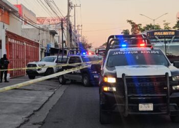 Atacan a balazos un negocio de arreglos florales en Culiacán: sin personas lesionadas