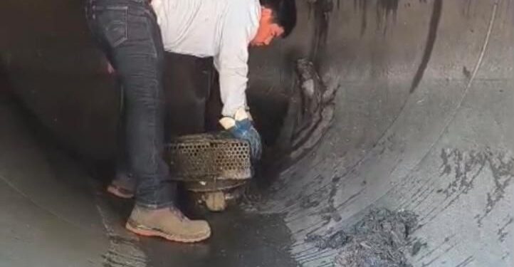 ¡Toallitas húmedas, lo que más se halla y afecta el drenaje!