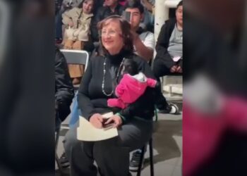 Desde políticos hasta influencers presumen posesión de monos por la impunidad de las autoridades ante el tráfico de especies en grave riesgo de extinción. Exigimos acciones y sanciones contundentes: AZCARM