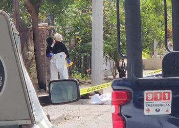 Una mujer fue encontrada asesinada en la colonia Humaya