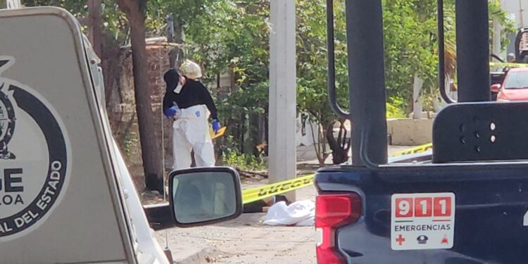 Una mujer fue encontrada asesinada en la colonia Humaya