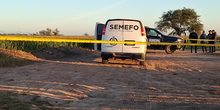 Localizan cadáver envuelto en cobija en el municipio de Navolato