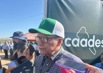 Inversión extranjera se mantiene en Sinaloa y vienen nuevos proyectos mineros e industriales: Feliciano Castro