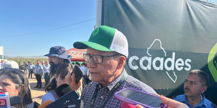 Inversión extranjera se mantiene en Sinaloa y vienen nuevos proyectos mineros e industriales: Feliciano Castro