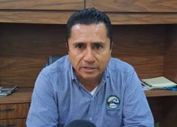 Productores gestionarían con Presidenta precio justo para la tonelada de maíz durante su visita a Sinaloa