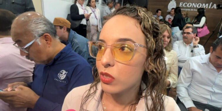 Constructoras en Sinaloa Centro no han sido víctimas de violencia ni extorsión: CMIC