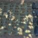 48 artefactos explosivos, un fusil Barret, 2 armas largas, 11 cargadores y mil 580 cartuchos útiles, son decomisado por las fuerzas federales