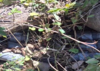 En Concordia, el Grupo Interinstitucional localizó, aseguró y destruyó 6 artefactos explosivos