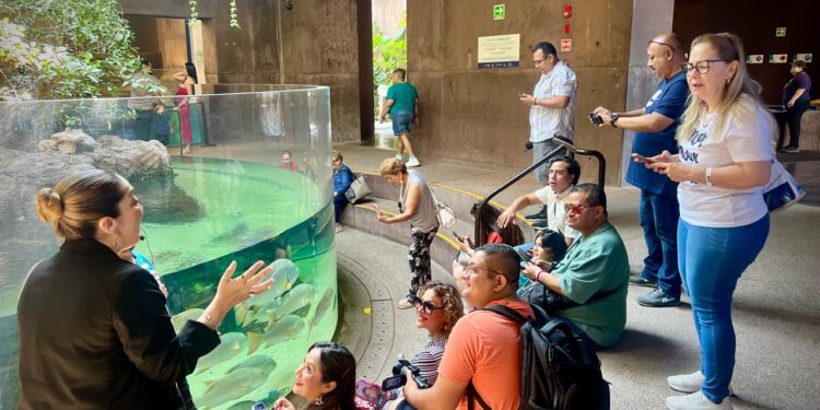 Fortalece Sectur proyección de Mazatlán a nivel nacional