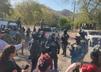 Rocha confirma detención y aseguramientos en El Salado