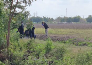 Asesinan a joven de 20 años en Navolato; fue encontrado con visibles huellas de golpes