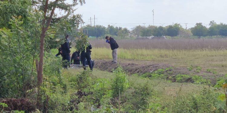 Asesinan a joven de 20 años en Navolato; fue encontrado con visibles huellas de golpes