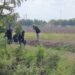 Asesinan a joven de 20 años en Navolato; fue encontrado con visibles huellas de golpes