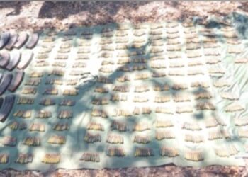 Grupo Interinstitucional asegura en Escuinapa cargadores y más de mil 400 cartuchos