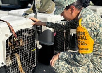 Arriban elementos del Batallón de Atención a Emergencias del Ejército Mexicano en apoyo, tras el colapso de la mina en El Rosario, Sinaloa.
