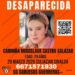 Levantan a joven creadora de contenido y repostera en Culiacán