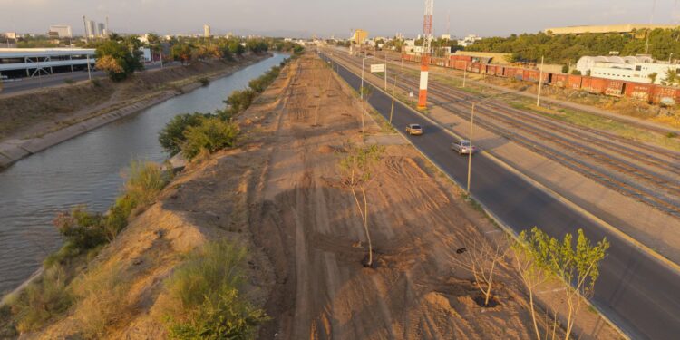 Avanza transformación verde en el Eje Federalismo con plantación de árboles