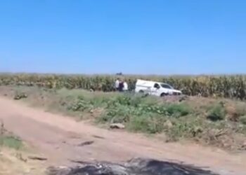 Un homicidio, una osamenta, 5 robos de vehículos y tres personas privadas de la libertad, se registraron ayer en Sinaloa