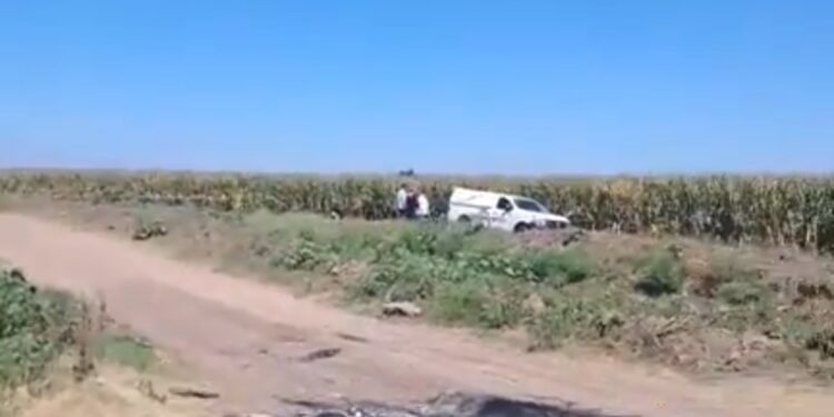 Un homicidio, una osamenta, 5 robos de vehículos y tres personas privadas de la libertad, se registraron ayer en Sinaloa