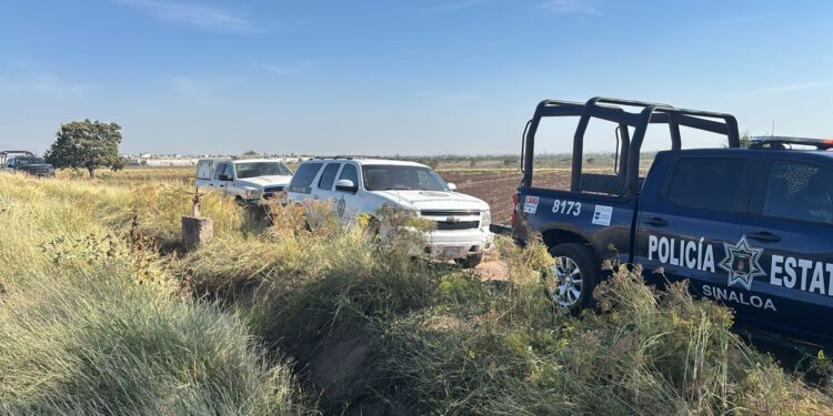 Encuentran el cuerpo sin vida de una mujer en tierras de cultivo en Culiacán
