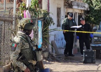 Asesinato de un hombre de 60 años en la Colonia Industrial El Palmito