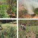5 plantíos de marihuana y amapola fueron localizados y destruidos por el Grupo Interinstitucional en Badiraguato; fueron más de 3 mil m²