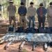 Tras una agresión en Badiraguato, el Grupo Interinstitucional detuvo a 5 presuntos delincuentes; les aseguraron armamento, entre ellos un lanzagranadas