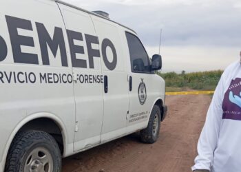 Hallazgo de cuerpo en avanzado estado de descomposición; podría corresponder a desaparecido en Navolato