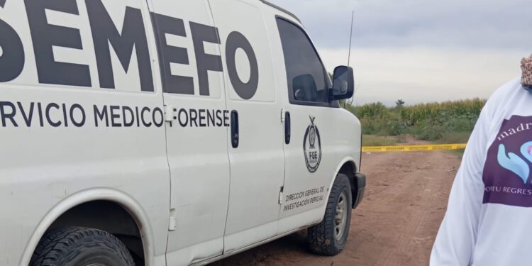 Hallazgo de cuerpo en avanzado estado de descomposición; podría corresponder a desaparecido en Navolato