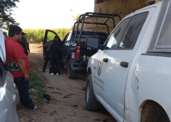 Hallazgo de restos óseos en Culiacán genera preocupación tras incidente con grupo de buscadoras