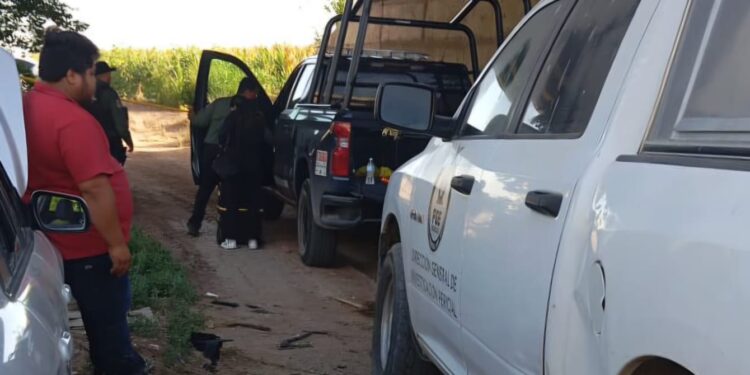 Hallazgo de restos óseos en Culiacán genera preocupación tras incidente con grupo de buscadoras