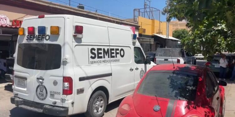 Colectivo urge reforzar prevención ante hechos violentos contra mujeres en Culiacán