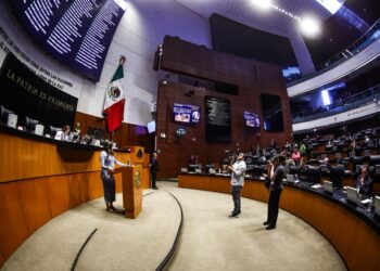 Llama Senadora Paloma Sánchez a votar a favor de reforma de feminicidio para combatir impunidad y violencia contra las mujeres en México